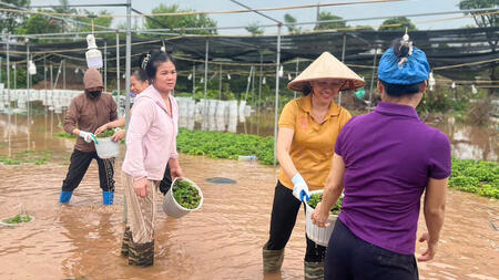 CÁN BỘ, GIÁO VIÊN TRƯỜNG MẦM NON TÔ QUYỀN TÍCH CỰC HỖ TRỢ NHÂN DÂN CHỐNG LŨ